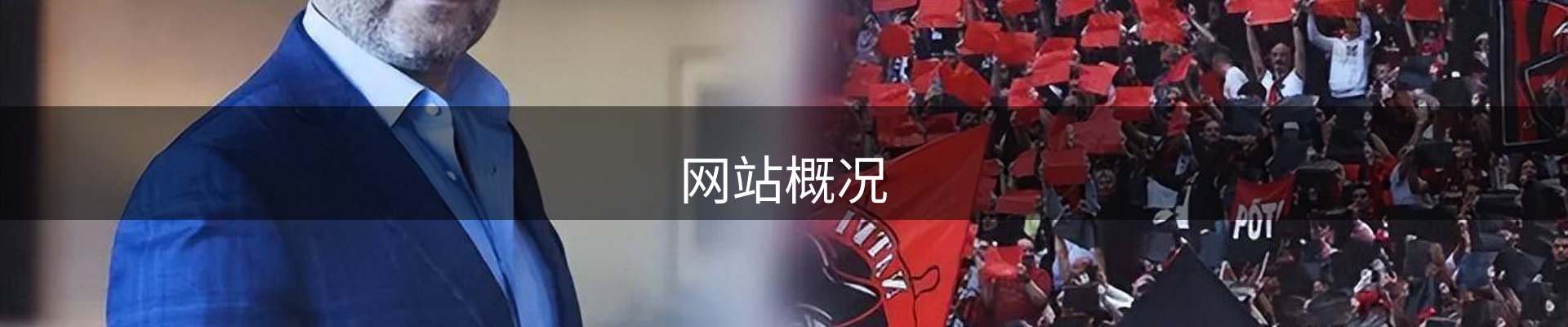网站概况